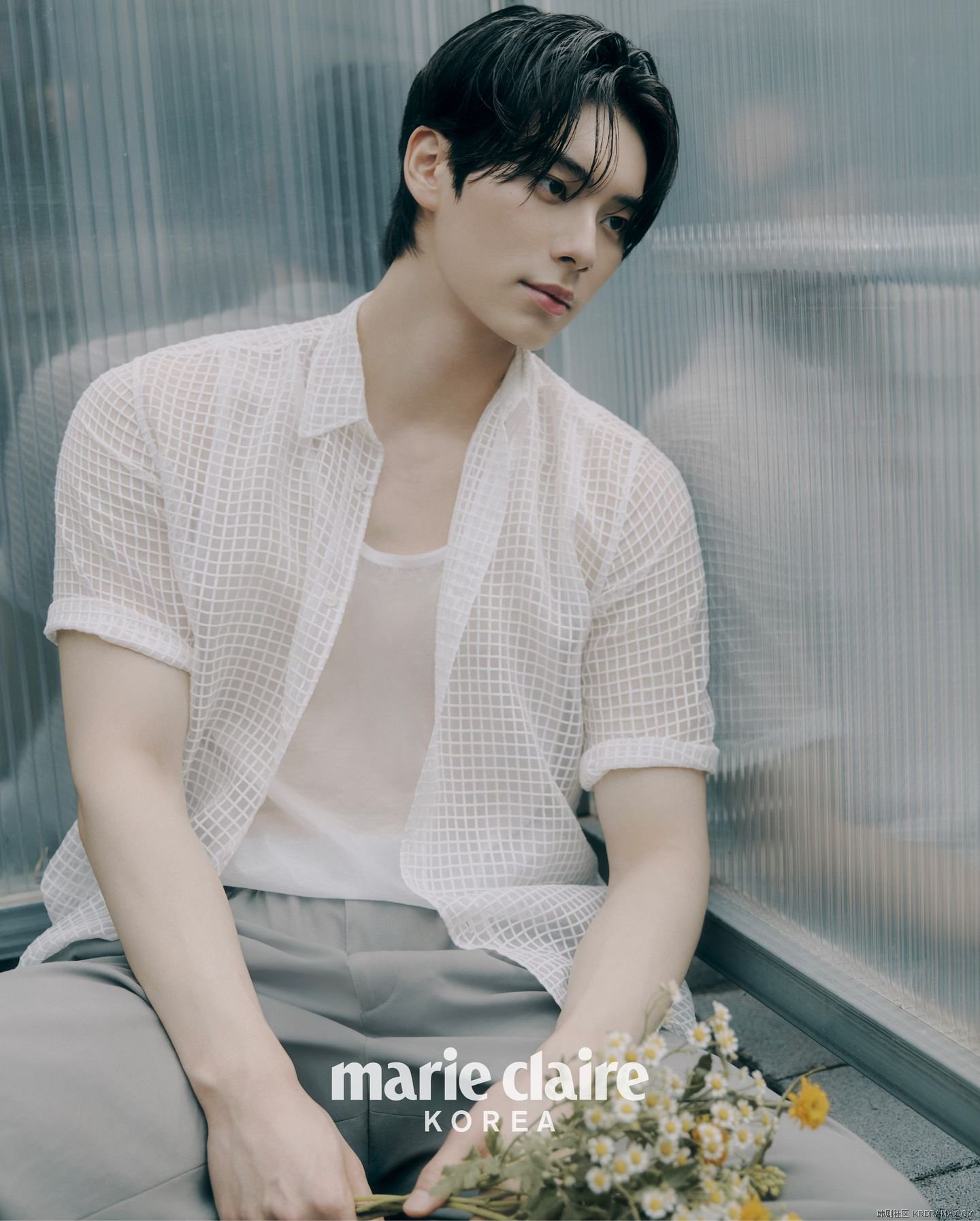 marieclairekorea_1721885546908.jpg