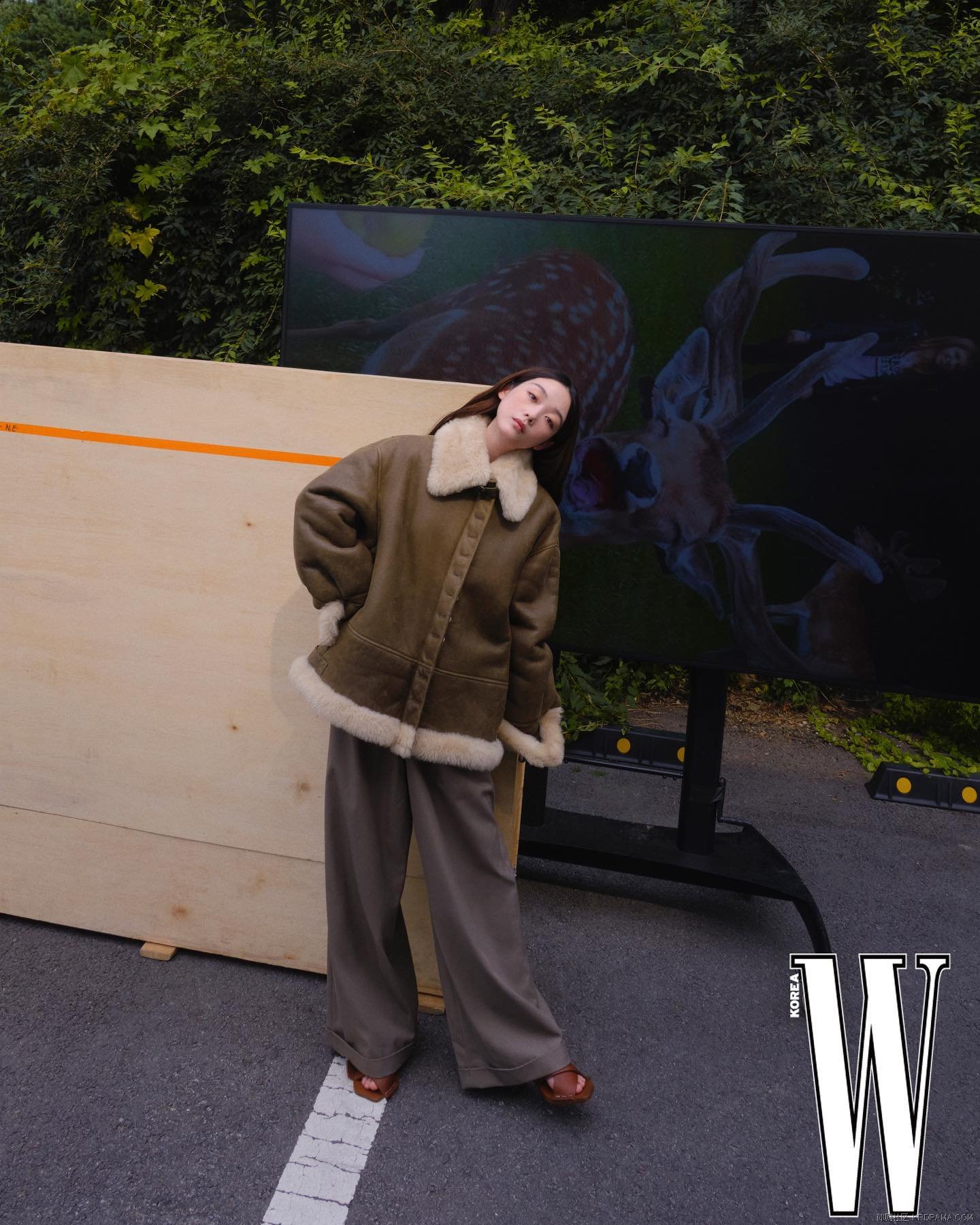 wkorea_1724513064591.jpg