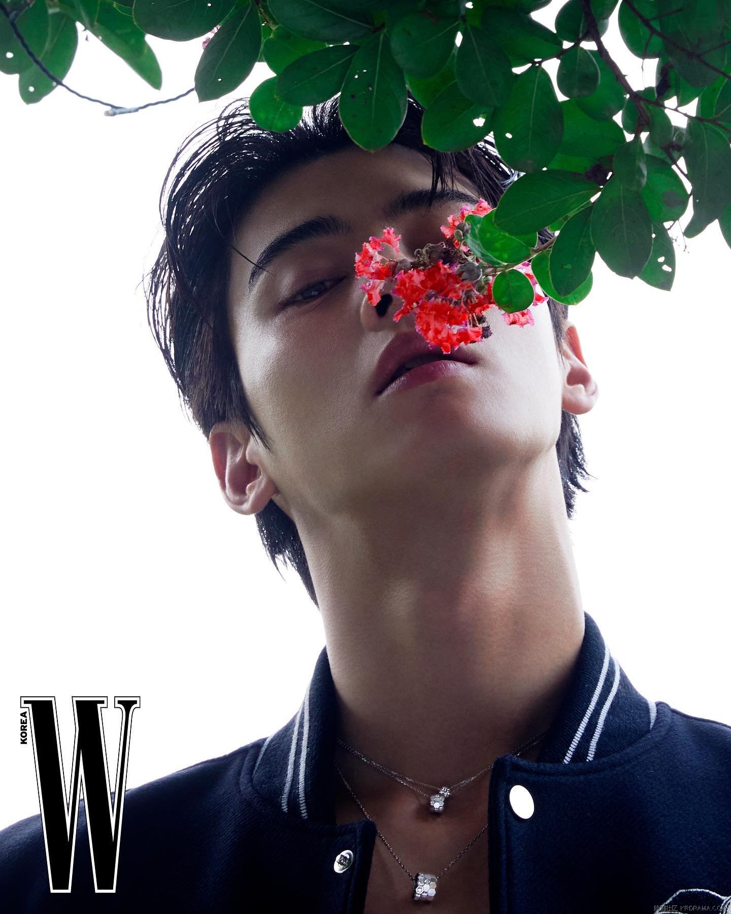 wkorea_1725124803696.jpg