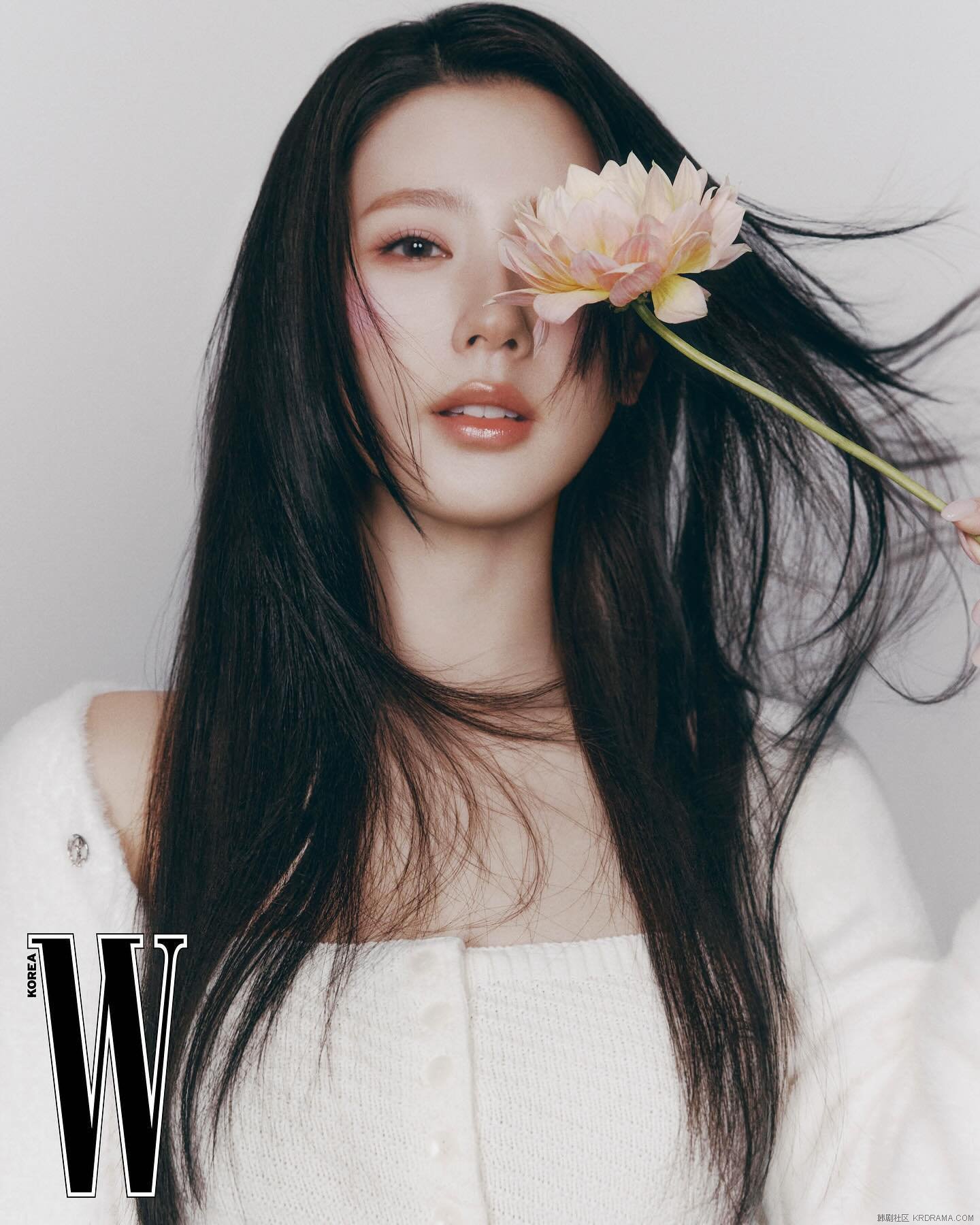 wkorea_1735141141561.jpg