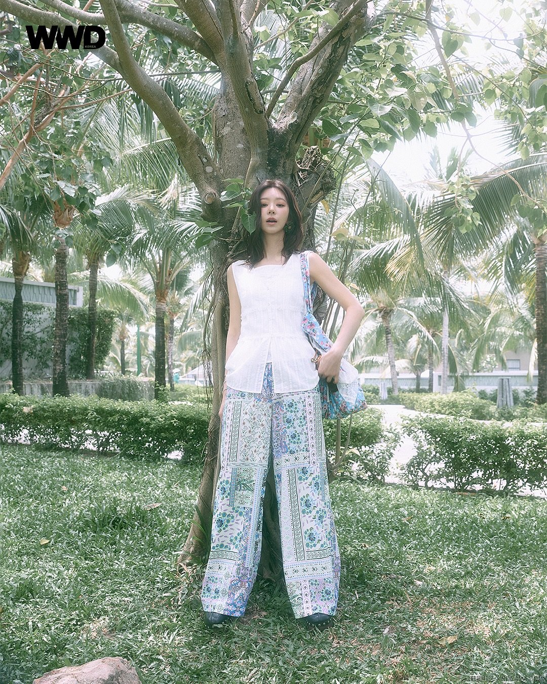 wwdkorea_1746708228382.jpg