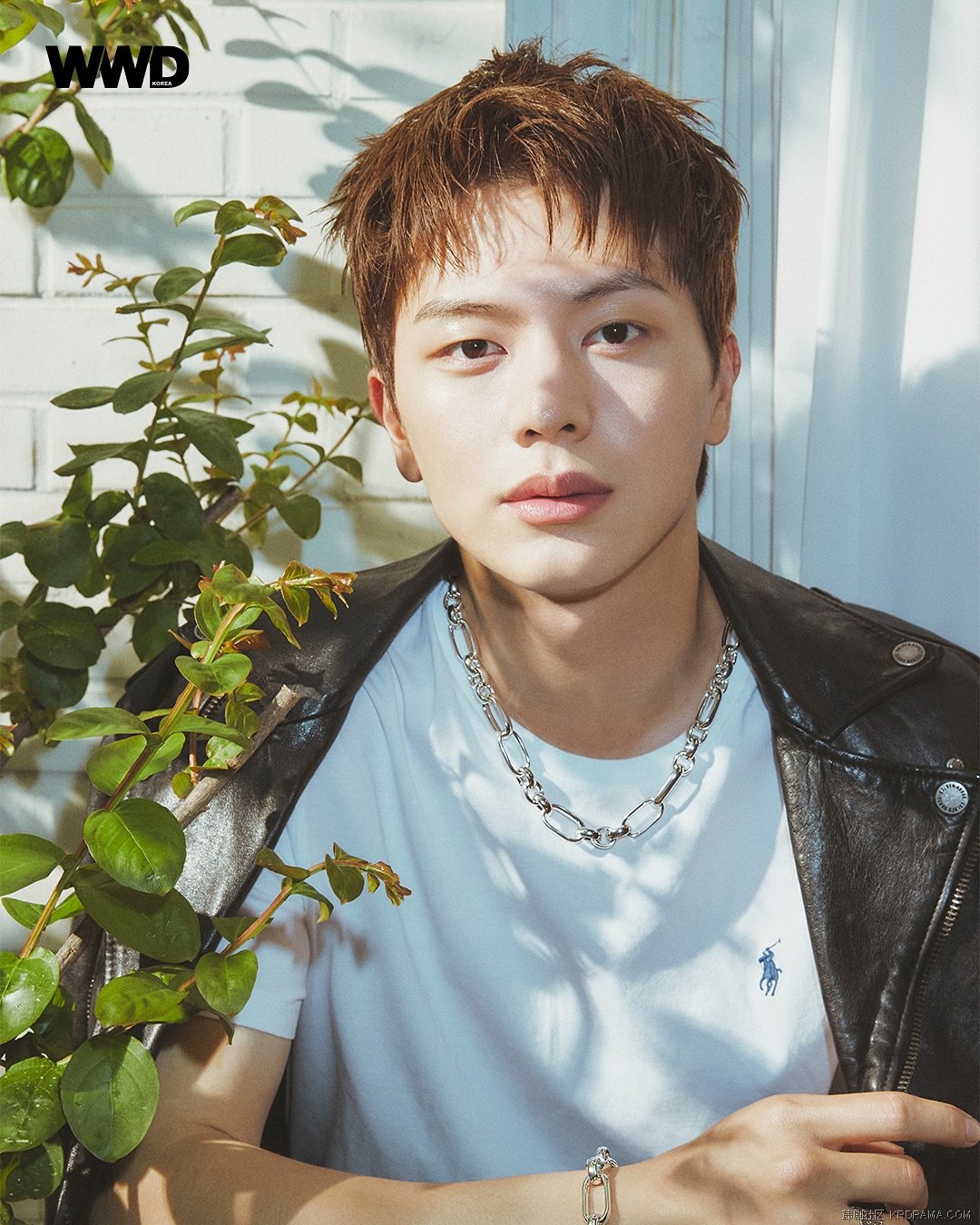 wwdkorea_1747901437958.jpg