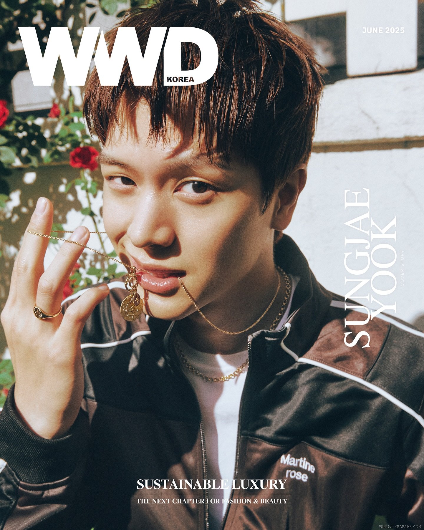 wwdkorea_1747901460088.jpg