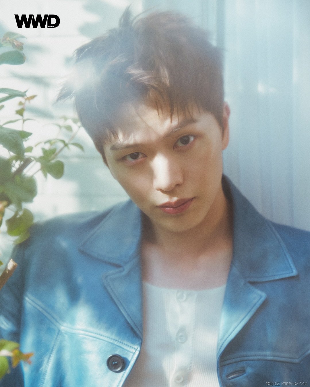 wwdkorea_1747901437413.jpg