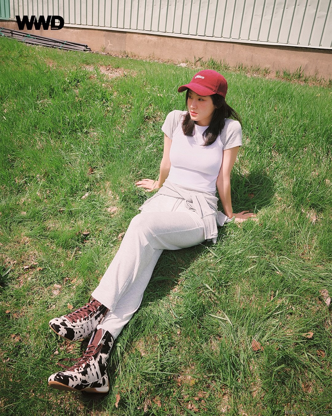 wwdkorea_1748322978143.jpg