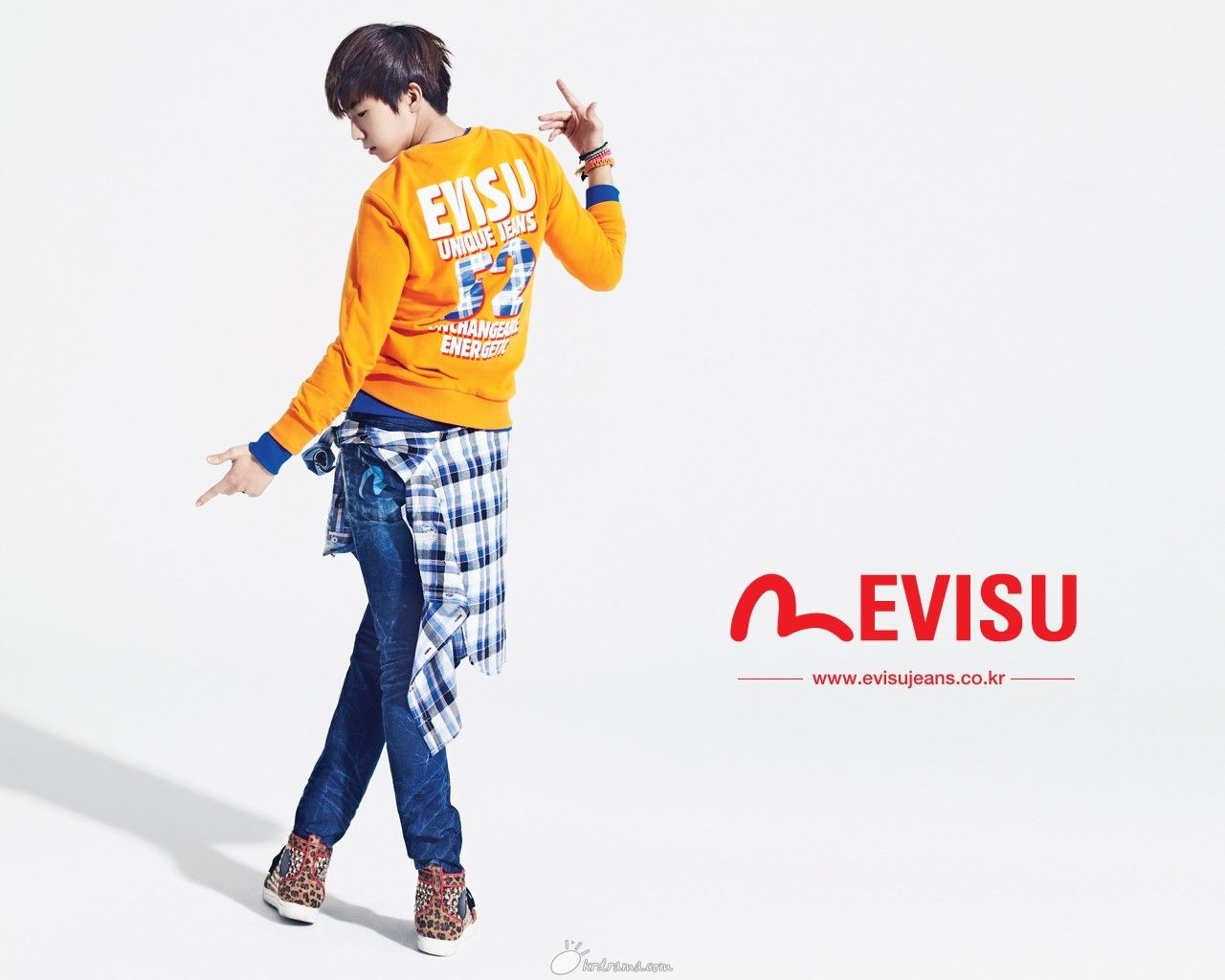 evisu1_1280x1024.JPG