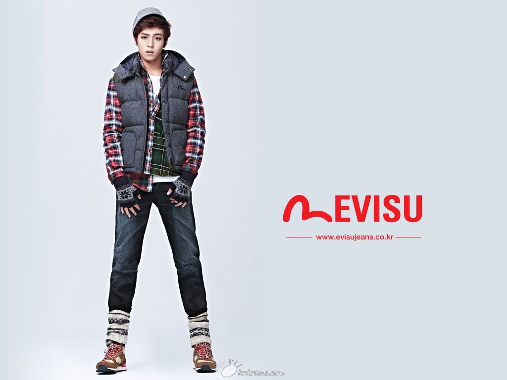 evisu2_1024x768.JPG