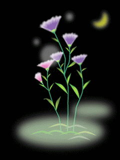 img_18_715_8.gif