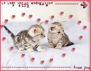 img_23_914_124.gif