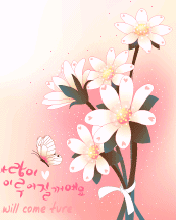 101333523T3.gif